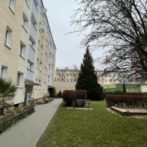Category Image