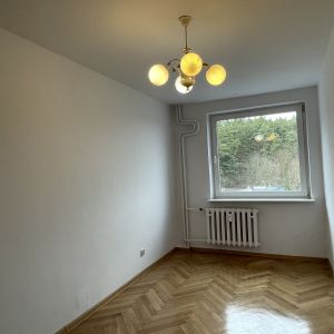 Category Image