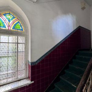 Category Image
